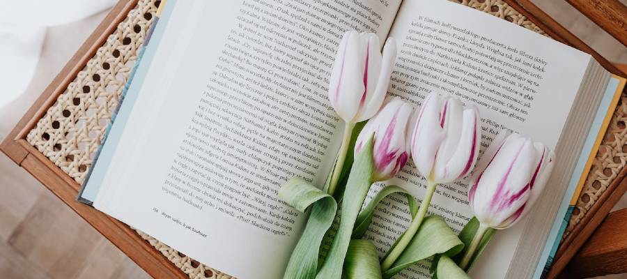 open book with tulips lying on it