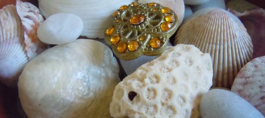 seashells, coral, stones, and button seashells, coral, stones, and button