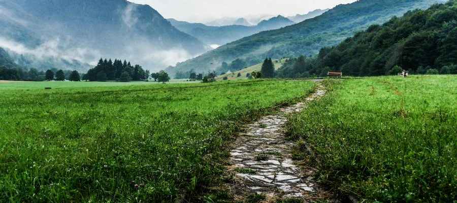 path through field with mountains in the background path through field with mountains in the background