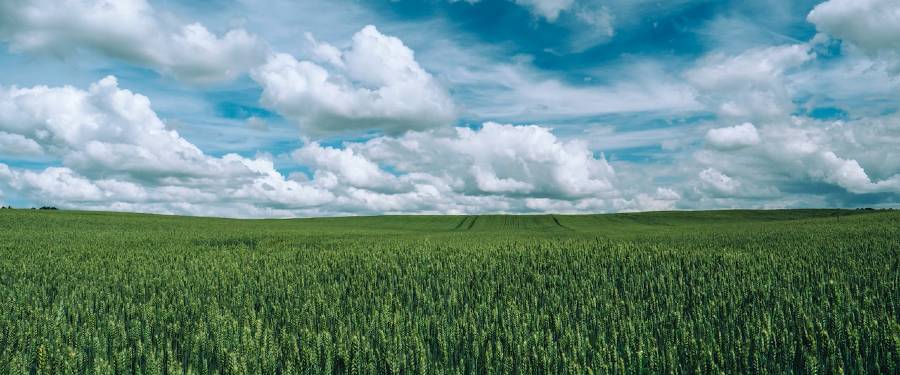 poetry ideas e-book poetry ideas e-book