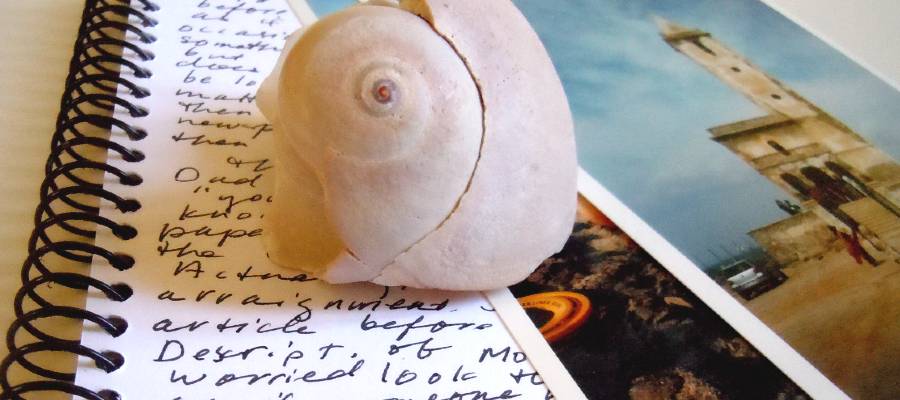 writing journal with photographs and seashell writing journal with photographs and seashell