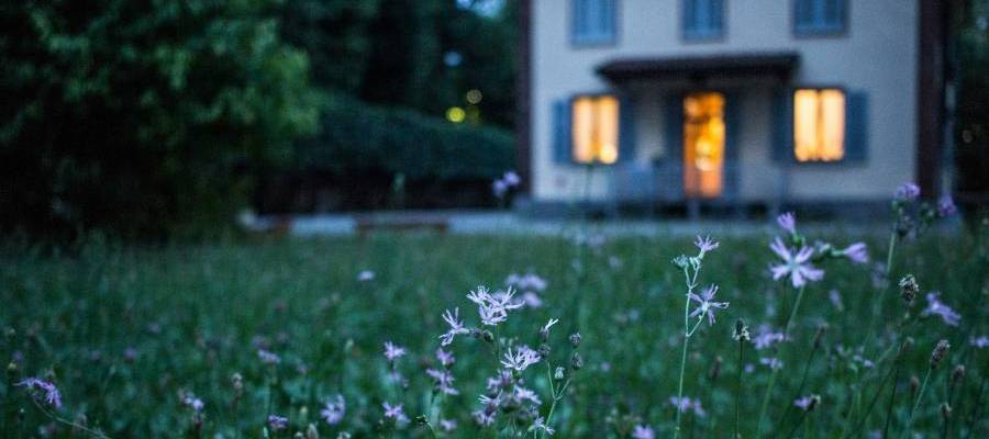 house with lighted windows, field with wildflowers