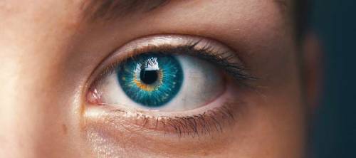 Through Your Character's Eyes Course Through Your Character's Eyes Course