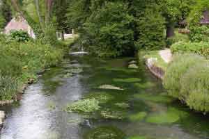 nature poem topics